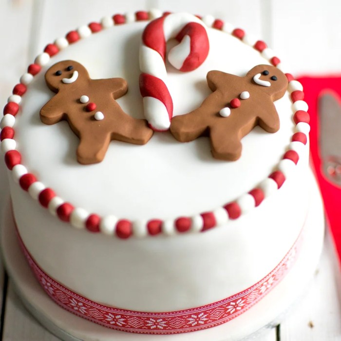 Simple christmas cake decoration